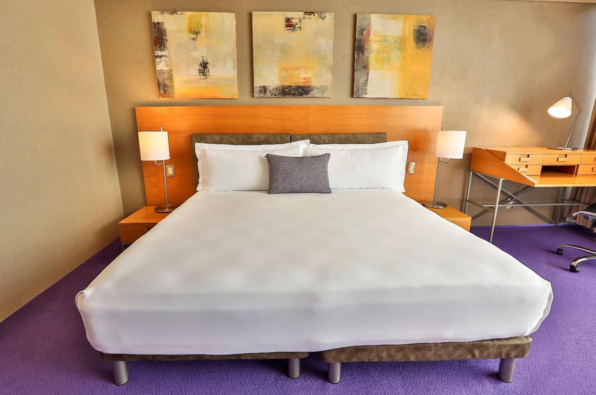 ホテル カミノ リアル サンタフェ メキシコシティ エクステリア 写真 A room at the Standard East Village