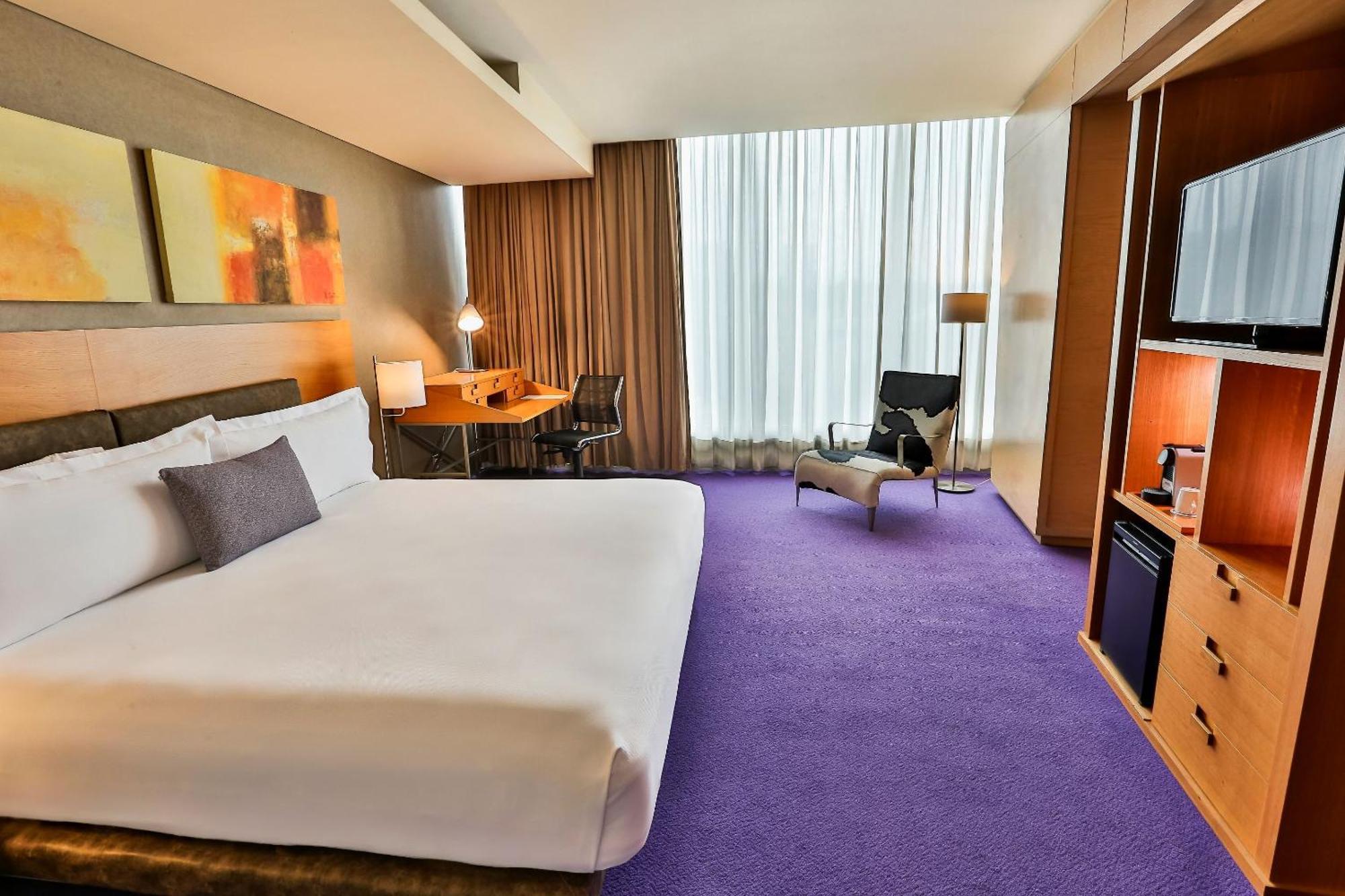 ホテル カミノ リアル サンタフェ メキシコシティ エクステリア 写真 Deluxe Room